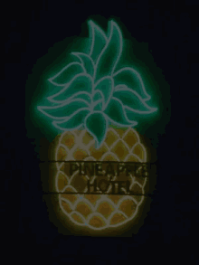 Pineapple Hotel Neon Sign GIF - Pineapple Hotel Neon Sign Flash GIFs