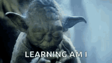 Yoda Star Wars GIF - Yoda Star Wars Learning Am I GIFs