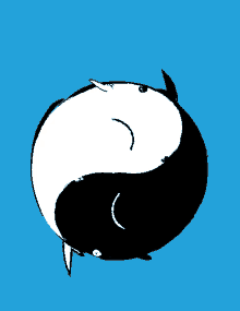 yin and yang symbol gif yin and yang symbol gif