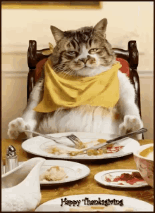 Fat Cat Yellow GIF - Fat Cat Cat Fat GIFs