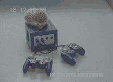 Nintendo Gamecube Hedgehog GIF - Nintendo Gamecube Hedgehog Gamecube GIFs