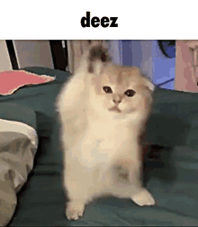Deez GIF - Deez GIFs