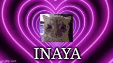 inaya love heart cat herb