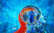 Finding Dory GIF - Finding Dory GIFs