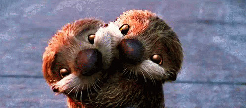 Cuddle Hugs GIF - Cuddle Hugs Otter GIFs