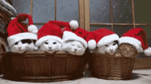 Cats Santa GIF - Cats Santa Sleepy GIFs