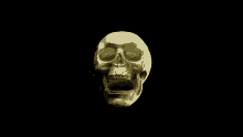 Skull Droeloe GIF - Skull Droeloe GIFs