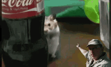 Mouse Muis GIF - Mouse Muis Soon GIFs
