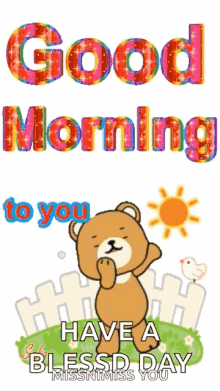 Good Morning Good Morning To You GIF - Good Morning Good Morning To You Bear GIFs