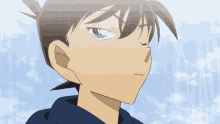 detective shinichi
