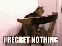 Regret Cat GIF - Regret Cat Spin GIFs