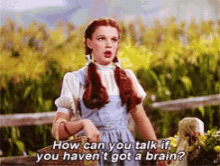 Can You Talk Got A Brain GIF - Can You Talk Got A Brain Dorothy GIFs