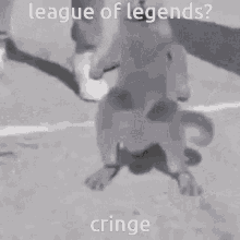 League Of Legends Lol GIF - League Of Legends Lol Cat GIFs