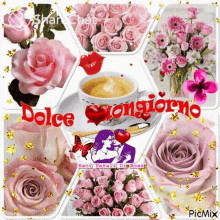 Dolce Buongiorno मीठाअलविदा GIF - Dolce Buongiorno मीठाअलविदा गुलाबीफूल GIFs