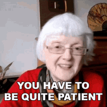 You Have To Be Quite Patient Gill GIF - You Have To Be Quite Patient Gill Engvid GIFs
