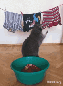 Laundry Hanging Clothes GIF - Laundry Hanging Clothes Drying Clothes GIFs