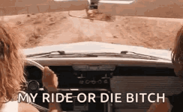 Thelma And Louise Vintage GIF.