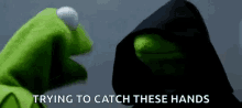 kermit slap try to catch these hands
