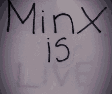 Minx Is Live Minx Twitch GIF - Minx Is Live Minx Minx Twitch GIFs