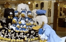 Donald Duck Oops GIF - Donald Duck Oops Move GIFs