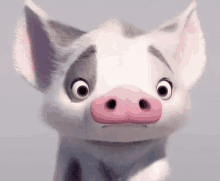 Moana Pig Pua Astonished GIF - Moana Pig Pua Pua Pig GIFs