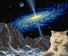 Space Kitten GIF - Space Kitten Universe GIFs