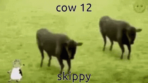 Skippy GIF Cow12 Skippy Cow - Discover & Share GIFs