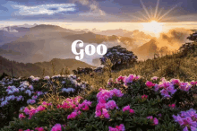 Good Morning GIF - Good Morning Greetings GIFs