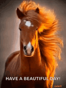 Horse Have A Beautiful Day GIF - Horse Have A Beautiful Day Nice Hair GIFs