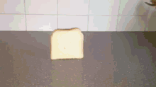 Bread GIF - Bread GIFs