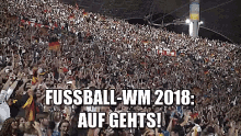 Fussball Wm 2018 GIF - Auf Gehts Fußball Weltmeisterschaft GIFs
