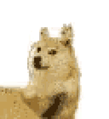 Doggo Doge GIF - Doggo Doge GIFs