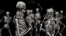 skeleton dance party