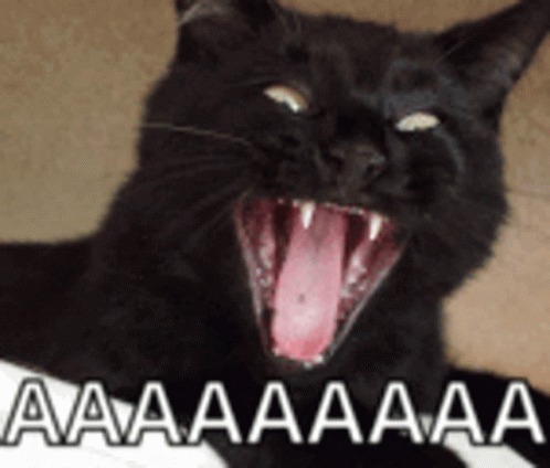 Gif Screaming Crying Cat Meme Discover The Magic Of T - vrogue.co