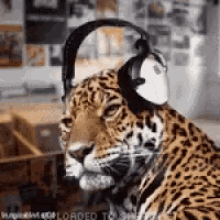 Leopard Listening GIF - Leopard Listening Music GIFs