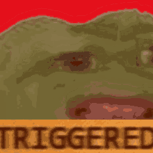 Triggered Pepe GIF - Triggered Pepe Pepe Triggered GIFs