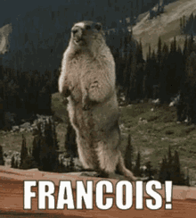 Francois Francios GIF - Francois Francios GIFs