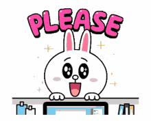 cony please line cute rabbit