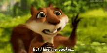 Squirrel Over The Hedge GIF - Squirrel Over The Hedge But I Like The Cookie GIFs