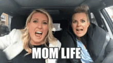 Mom Life GIF - Mom Life GIFs