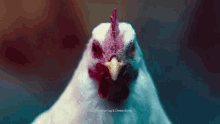 Chicken Wiggle GIF - Chicken Wiggle Mad GIFs