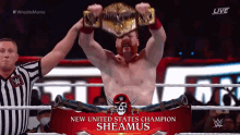 Sheamus New GIF - Sheamus New Champion GIFs
