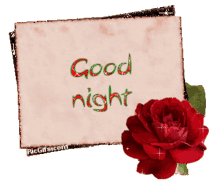 good night rose flower sparkle glitter