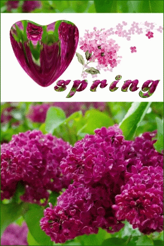 I Love Spring Heart GIF - I Love Spring Heart Spring GIFs
