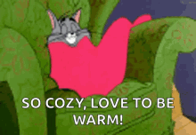 So Cozy Love To Be Warm GIF - So Cozy Love To Be Warm Tom The Cat GIFs