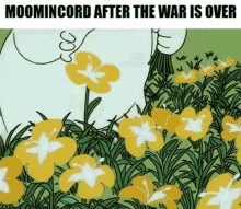 vladdycord moomincord