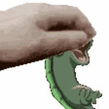 demonheadge frogeel frog eel aa