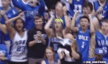 Duke Fans GIF - Cheer Basketball Baby GIFs