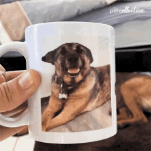 Pose The Pet Collective GIF - Pose The Pet Collective Mug GIFs