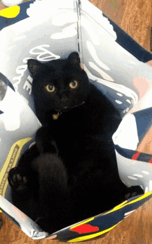 minnie black cat cat cat in bag black cat in bag